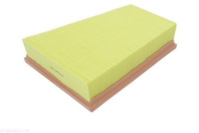 Воздушный фильтр AUTOMEGA 180034910