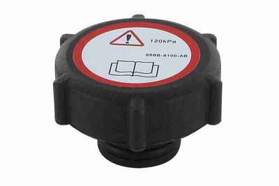 Vāciņš, Dzesēšanas šķidruma rezervuārs VAICO V25-0549