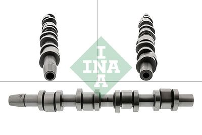 Sadales vārpsta Schaeffler INA 428 0123 10