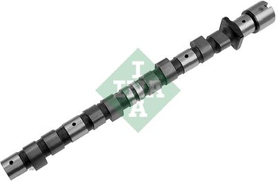 Распредвал Schaeffler INA 428 0007 10