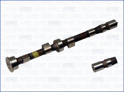 Sadales vārpsta AJUSA 93041700
