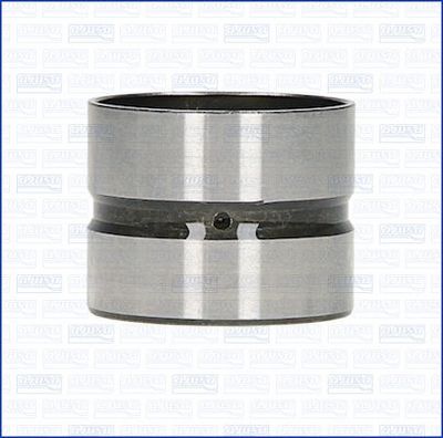 Bīdītājs AJUSA 85005500
