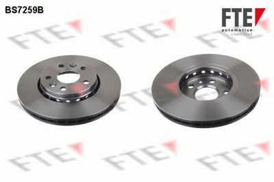 Тормозной диск FTE 9082402