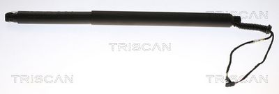 Gāzes atspere, Bagāžas/Kravas nodalījuma vāks TRISCAN 871 029 312