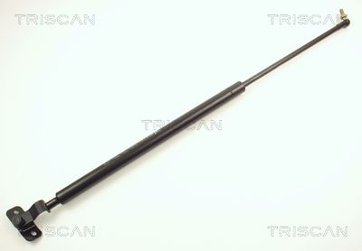 Gāzes atspere, Bagāžas/Kravas nodalījuma vāks TRISCAN 871013211