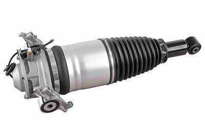 Pneimoatsperes statnis VEMO V10-50-0007