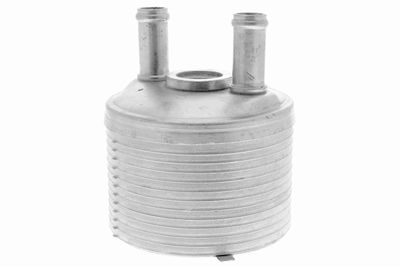 Eļļas radiators, Automātiskā pārnesumkārba VEMO V15-60-0002