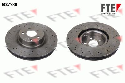 Bremžu diski FTE 9071172