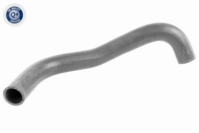 Шланг радиатора VAICO V30-0251