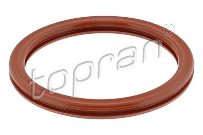 Blīve, Droseļvārsta īscaurule TOPRAN 702 637