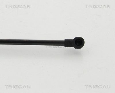 Gāzes atspere, Bagāžas/Kravas nodalījuma vāks TRISCAN 871 024 254