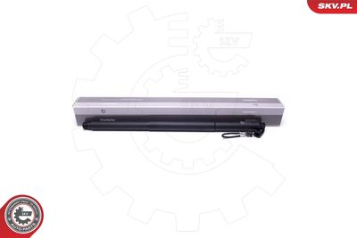 Электромотор, задняя дверь ESEN SKV 52SKV943