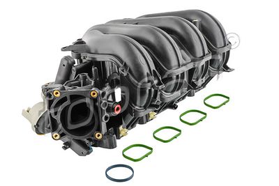 Модуль впускной трубы TOPRAN 305 271