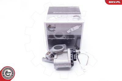 Клапан возврата ОГ ESEN SKV 14SKV168