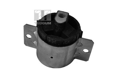 Piekare, Pārnesumkārbas turētājs TEDGUM 00726345