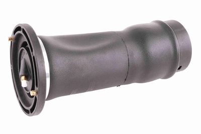 Pneimoatsperes statnis VEMO V48-50-0009