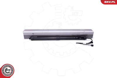 Электромотор, задняя дверь ESEN SKV 52SKV900