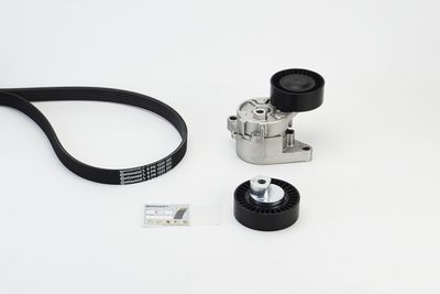 Ķīļrievu siksnu komplekts CONTINENTAL CTAM 6PK1555K2