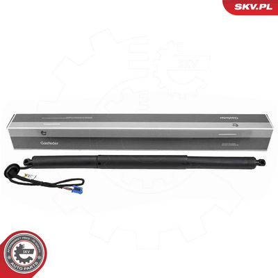 Электромотор, задняя дверь ESEN SKV 52SKV271