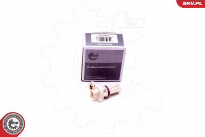 Датчик импульсов ESEN SKV 17SKV528