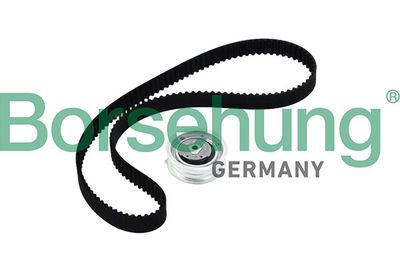 Комплект ремня ГРМ BORSEHUNG B10219