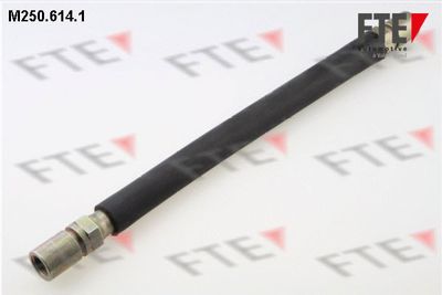 Bremžu šļūtene FTE 9741112