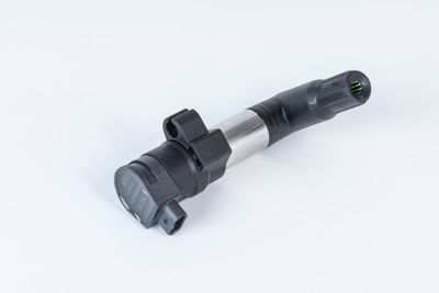 Aizdedzes spole BorgWarner (BERU) ZSE254