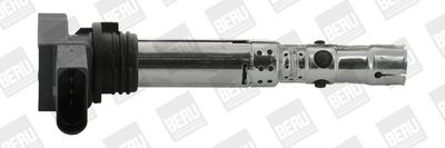 Aizdedzes spole BorgWarner (BERU) ZSE059