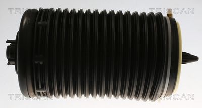 Pneimoatspere, Balstiekārta TRISCAN 8720 29204