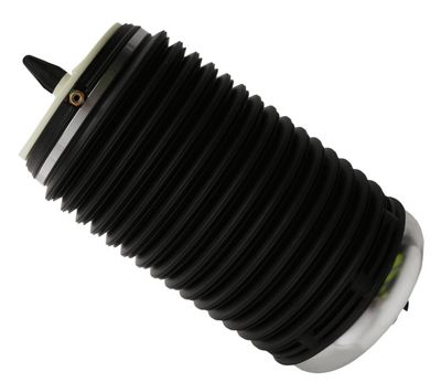 Pneimoatspere, Balstiekārta SACHS 992 803