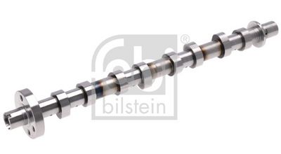 Sadales vārpsta FEBI BILSTEIN 1009767