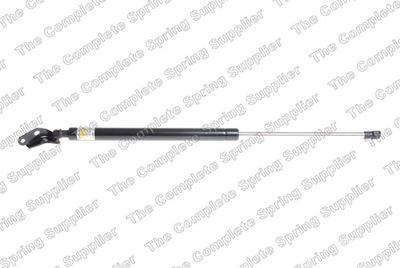 Gāzes atspere, Bagāžas/Kravas nodalījuma vāks LESJOFORS 8155451