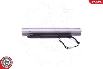 Электромотор, задняя дверь ESEN SKV 52SKV926