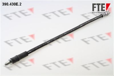 Тормозной шланг FTE 9240232