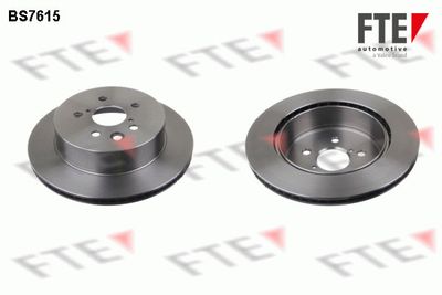 Тормозной диск FTE 9072806