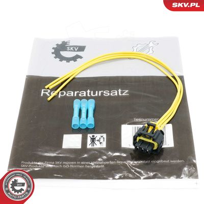 Vadu remkomplekts, Common-Rail sistēma ESEN SKV 53SKV113