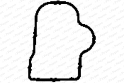 Прокладка, впускной коллектор PAYEN JD5904