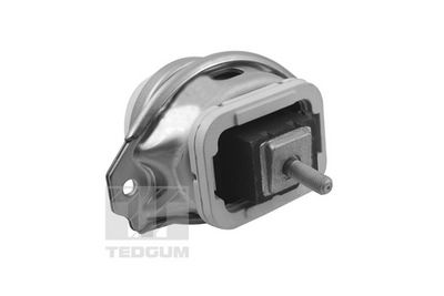 Piekare, Dzinējs TEDGUM TED44341