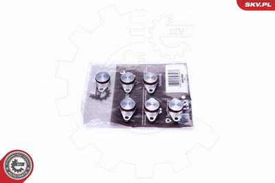 Ремкомплект, модуль впускного коллектора ESEN SKV 49SKV545