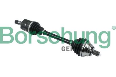 Piedziņas vārpsta BORSEHUNG B18303