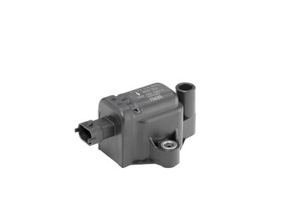 BorgWarner (BERU) ZS439 Aizdedzes spole