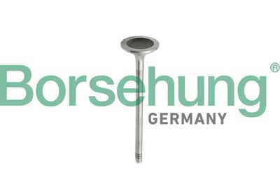 Комплект поршневых колец BORSEHUNG B10343