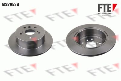 Bremžu diski FTE 9082374