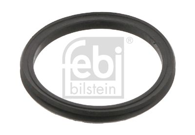 Blīvgredzens FEBI BILSTEIN 03994