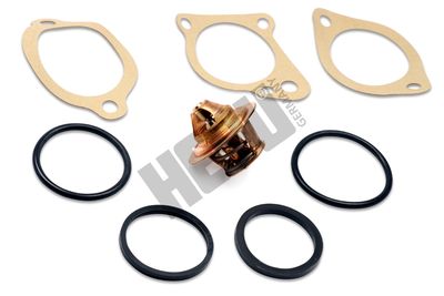 Термостат, охлаждающая жидкость HEPU TM1304