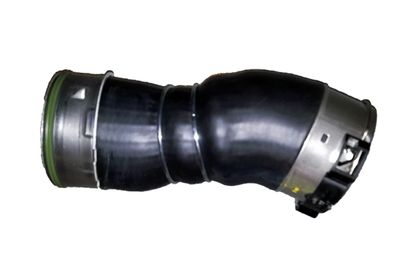 Pūtes sistēmas gaisa caurule BUGIAD 81731