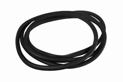 Blīve, Vējstikls VAICO V95-0204