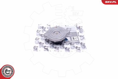 Vāciņš, Dzesēšanas šķidruma rezervuārs ESEN SKV 61SKV004