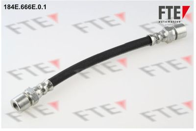 Тормозной шланг FTE 9240889