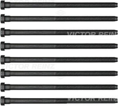 Комплект болтов головки цилидра VICTOR REINZ 14-32384-02